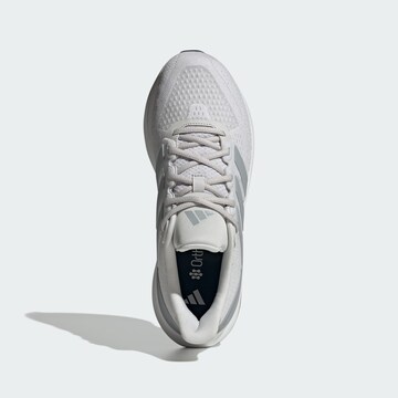 Chaussure de course 'RUNFALCON 5' ADIDAS PERFORMANCE en gris