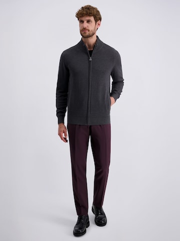 PIERRE CARDIN Knit cardigan in Grey