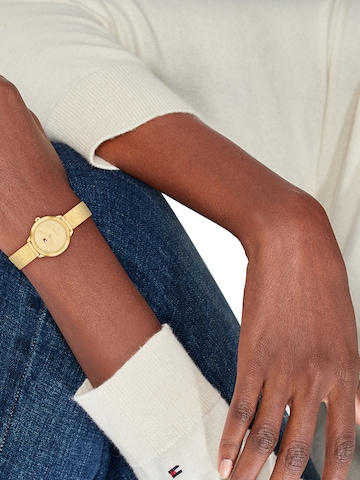 TOMMY HILFIGER Uhr 'Demi' in Gold