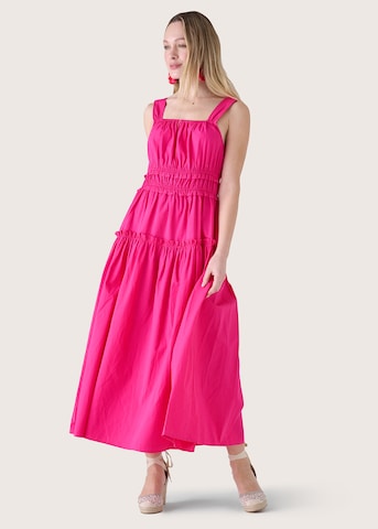 Camomilla Kleid 'AVA' in Pink: Vorderseite