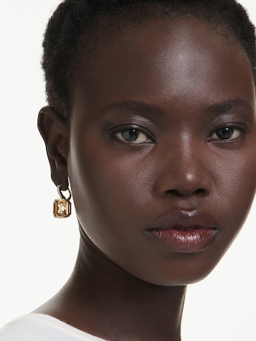 Orecchini di Swarovski in marrone: frontale
