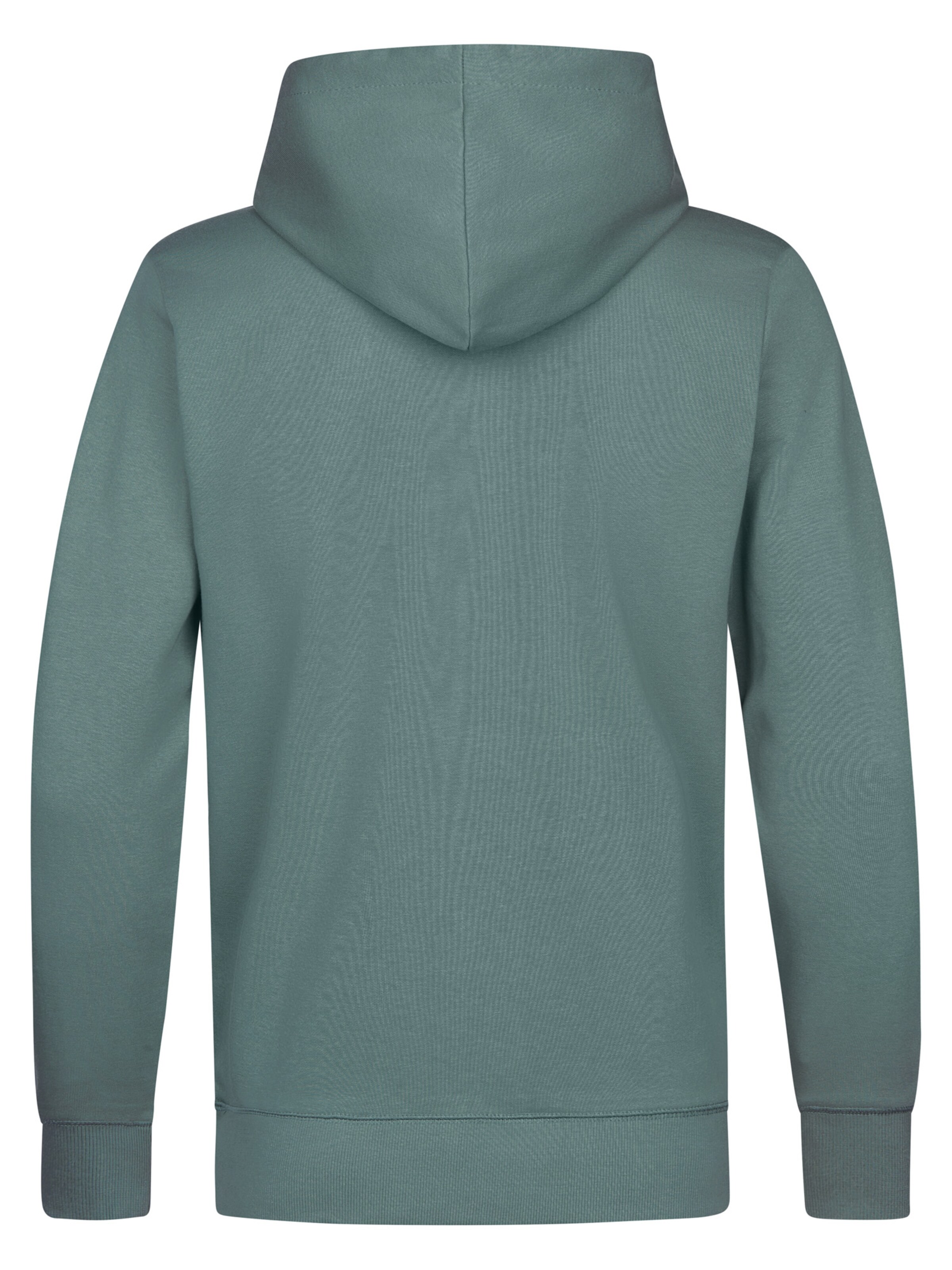 Petrol Industries Sweatshirt i grön