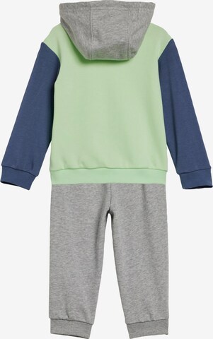 ADIDAS SPORTSWEAR Tracksuit 'Essentials' in Green