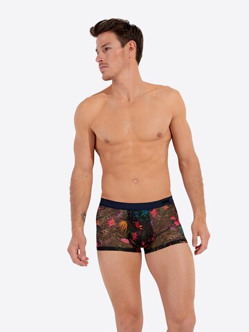 Boxers ' Exotica ' HOM en mélange de couleurs : devant