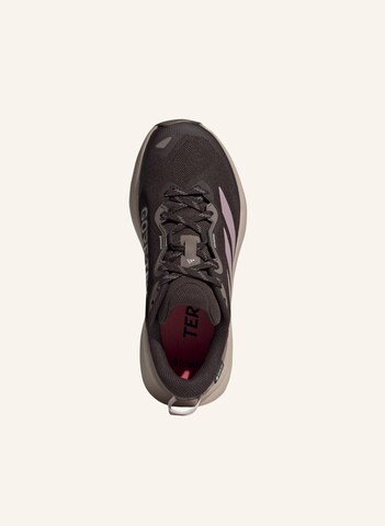 ADIDAS TERREX - Zapatos bajos 'Tracefinder Plus' en marrón