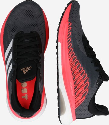 ADIDAS PERFORMANCE Loopschoen in Grijs