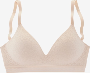 Reggiseno di LASCANA in beige: frontale