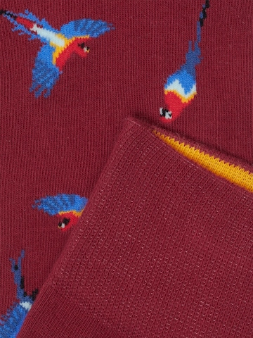 Von Jungfeld Socken 'Papagei Icon' in Rot