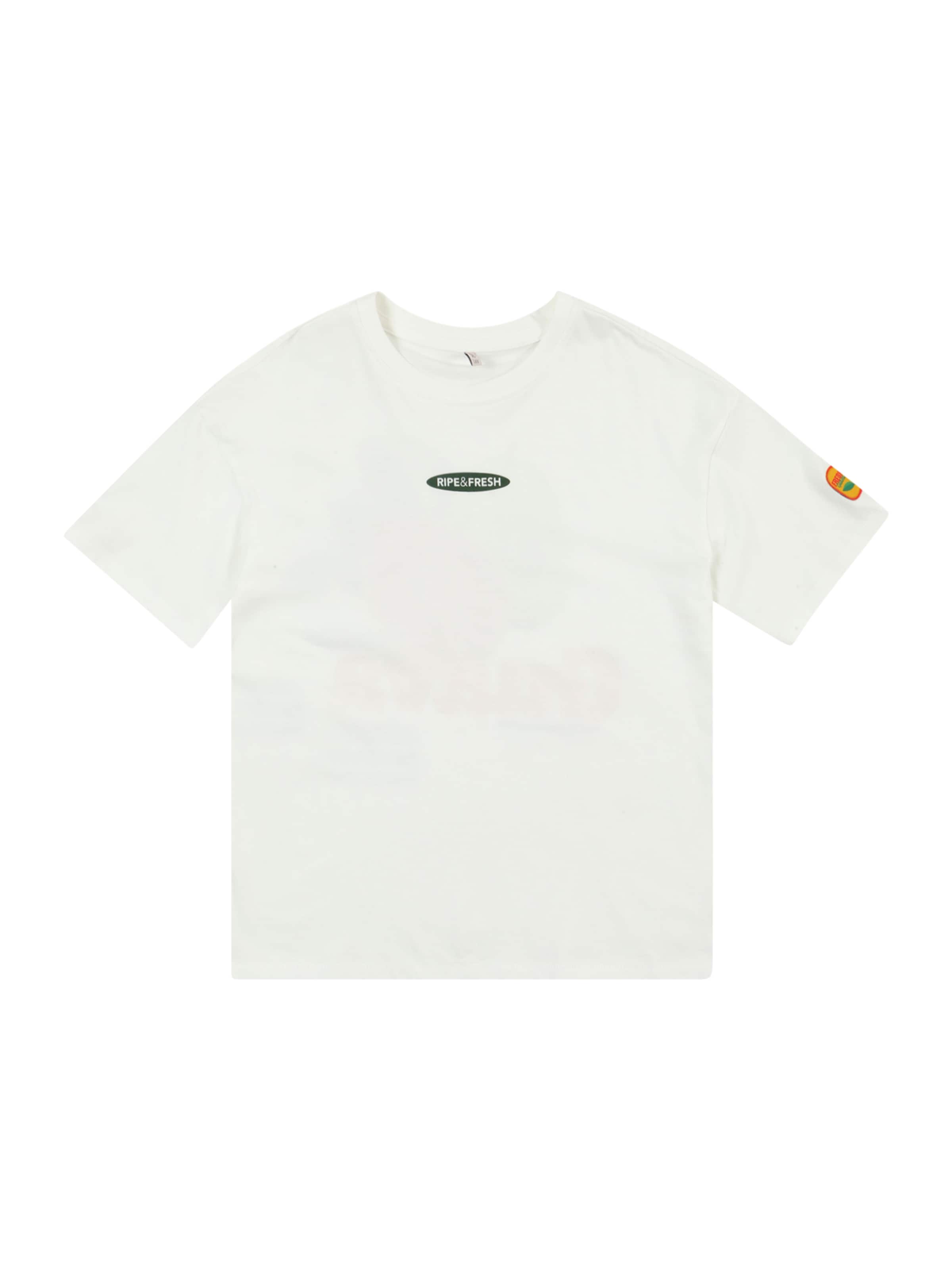 ONLY GIRLS Μπλουζάκι &#x27;KOGPhoebe&#x27; σε λευκό: μπροστά