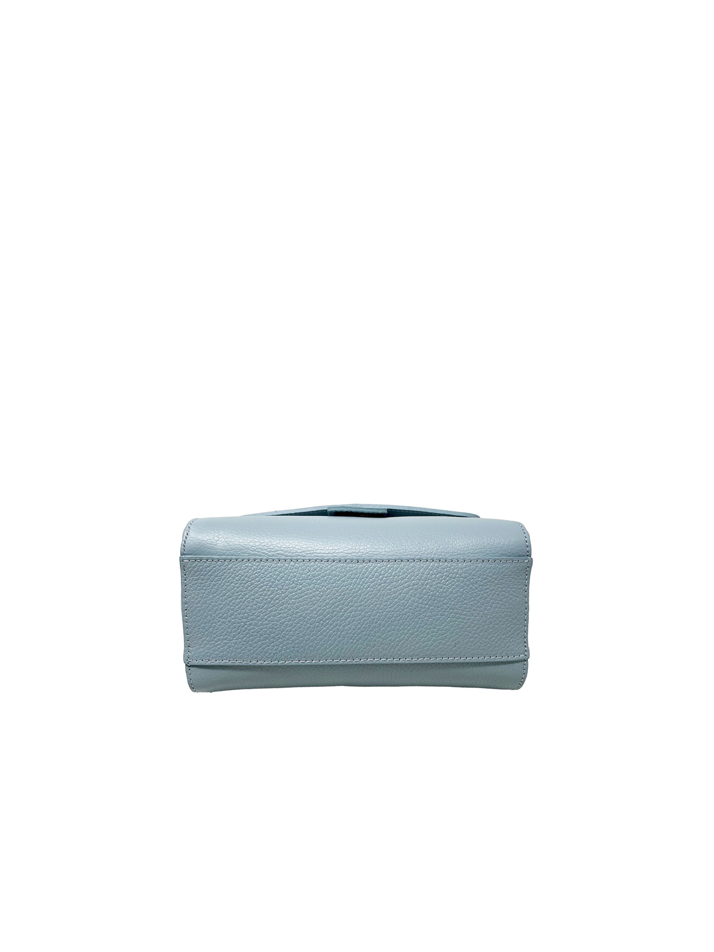 CHICCA BORSE Handbag in Blue