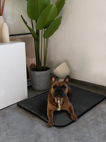Aspero Pet accessories 'Hanko Und Lund' in Grey