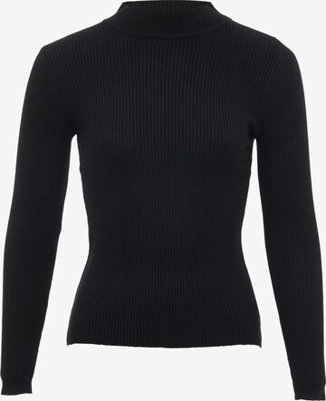 leo basics Sweater in Black: front