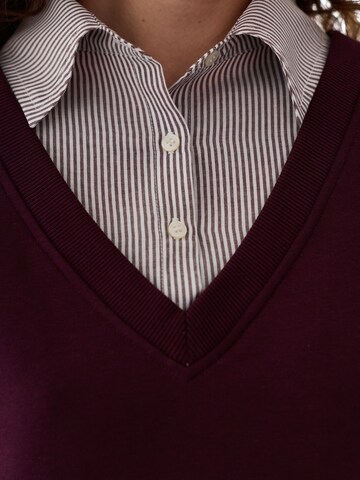 Penti Dressipluus 'Sweatshirts', värv punane