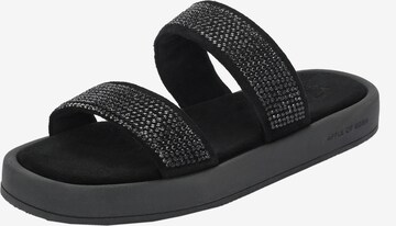 Apple of Eden Strap Sandals 'Clarice' in Black: front