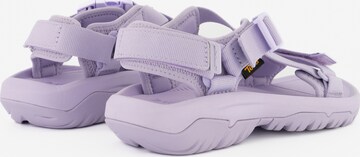 TEVA Sandals in Purple