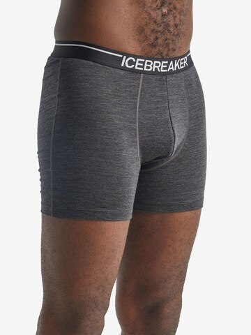 ICEBREAKER Athletic Underwear 'Anatomica' in Black