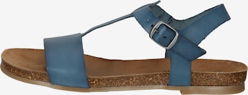 COSMOS COMFORT Sandaal in Blauw