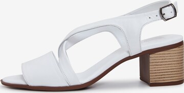 CESARE GASPARI Sandals in White: front