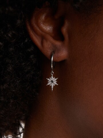Boucles d'oreilles Lucardi en argent : devant