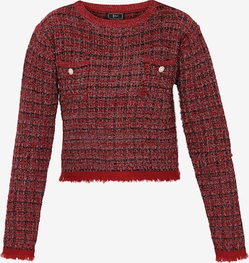 faina Trui in Rood: voorkant