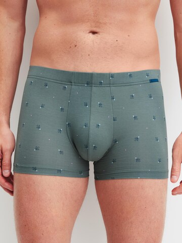 CALIDA Boxer shorts 'Grafic Cotton' in Grey