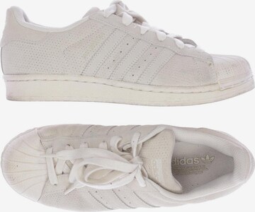 ADIDAS ORIGINALS Sneaker 38 in Beige: predná strana