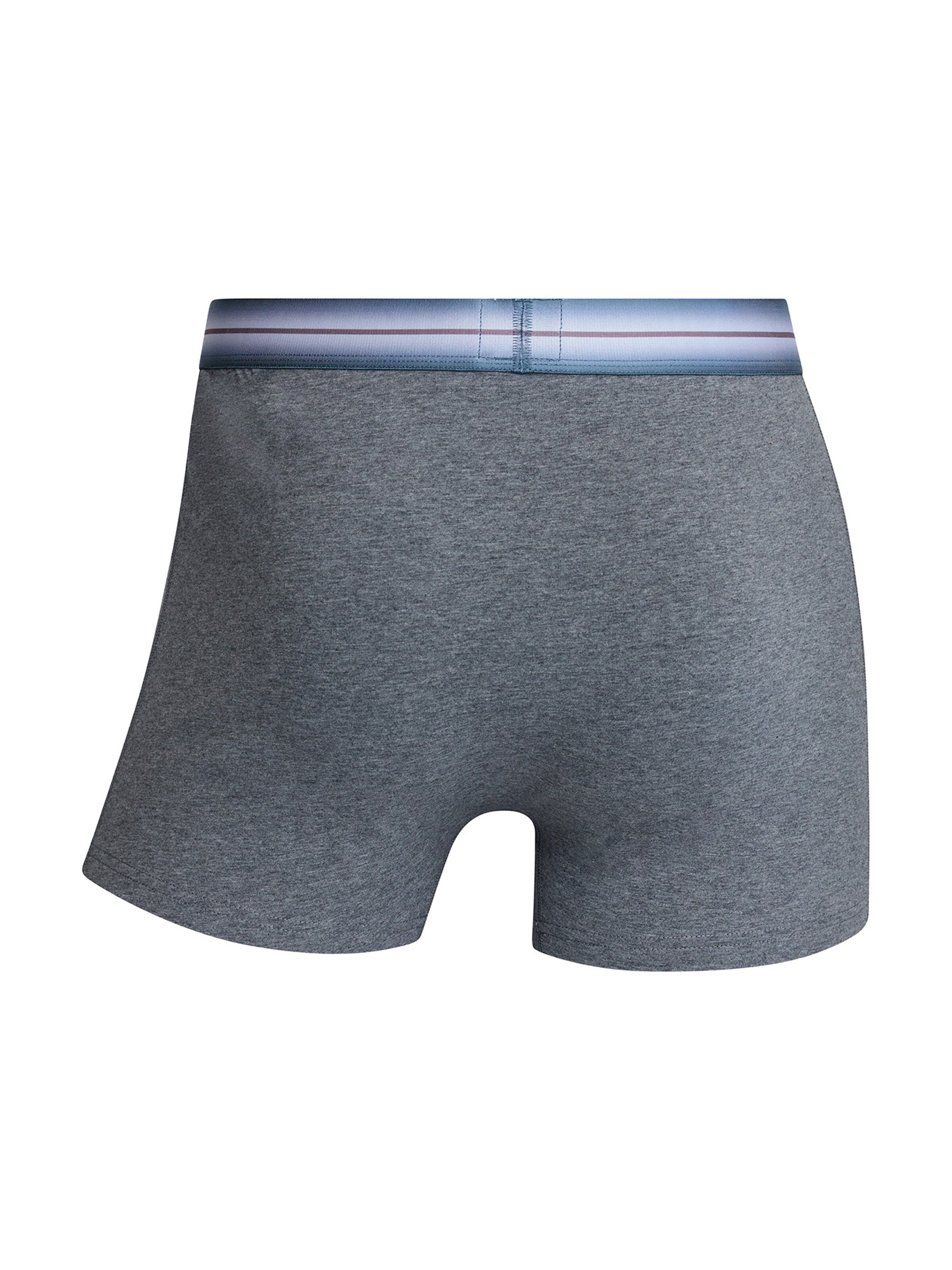 CR7 - Cristiano Ronaldo - Calzoncillo boxer ' Basic Trunk Organic ' en Mezcla de colores