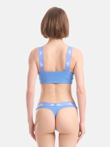 ADIDAS ORIGINALS Bralette Bra ' Bandeau ' in Blue