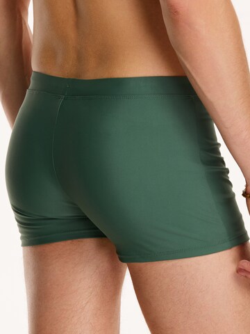 Shiwi Kopalne hlače | zelena barva