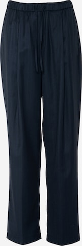regular Pantaloni con pieghe 'Lexiani' di Elias Rumelis in blu: frontale