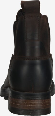 REPLAY Chelsea Boots in Brown