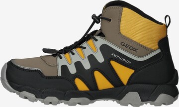GEOX Boots in Gemengde kleuren
