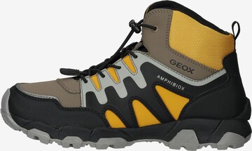 GEOX Boots in Mixed colors