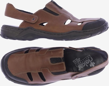 Rieker Sandals & Slippers in 46 in Brown: front