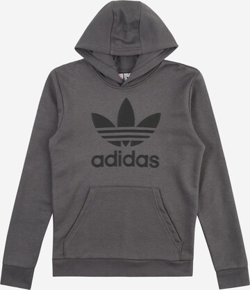 pilka ADIDAS ORIGINALS Megztinis be užsegimo 'Trefoil': priekis