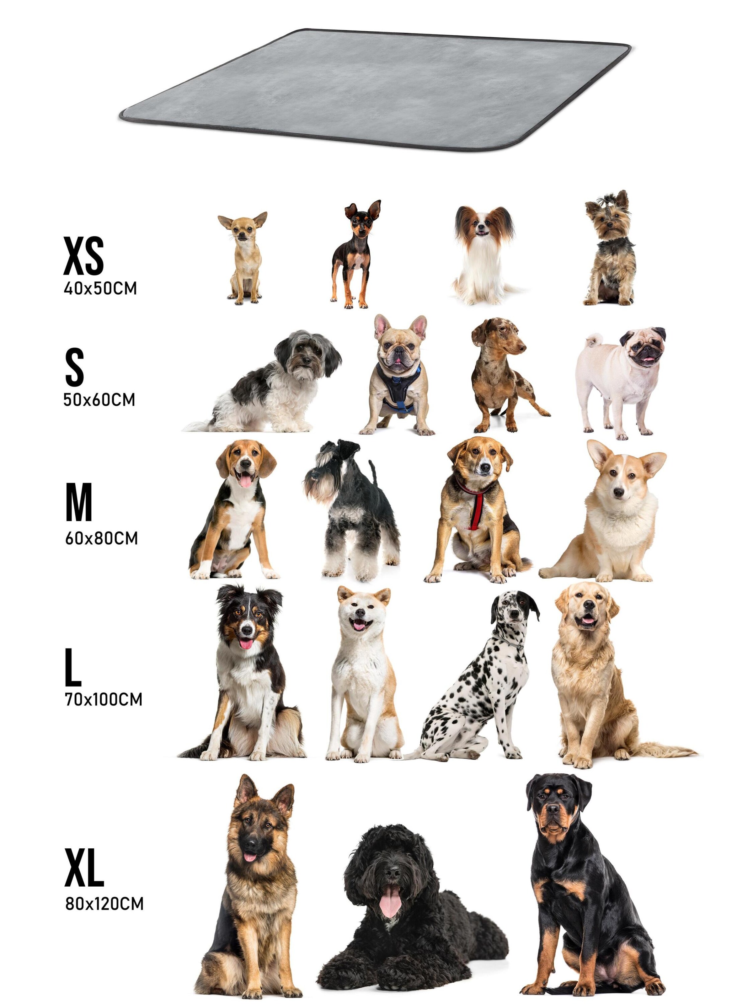 Accessoires pour animaux 'Lund' Aspero en gris