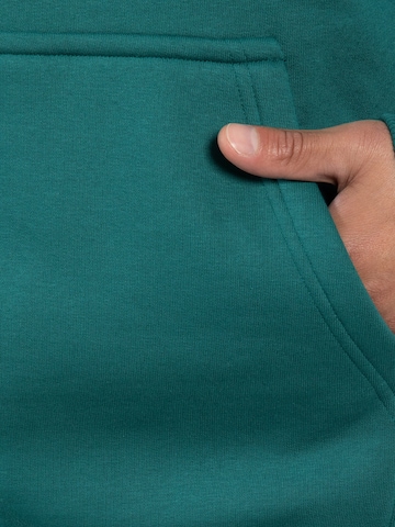 Smilodox Sweatshirt ' Kayson ' in Green