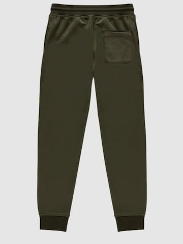 Regular Pantalon de sport 'Pantaloni' Refrigiwear en vert