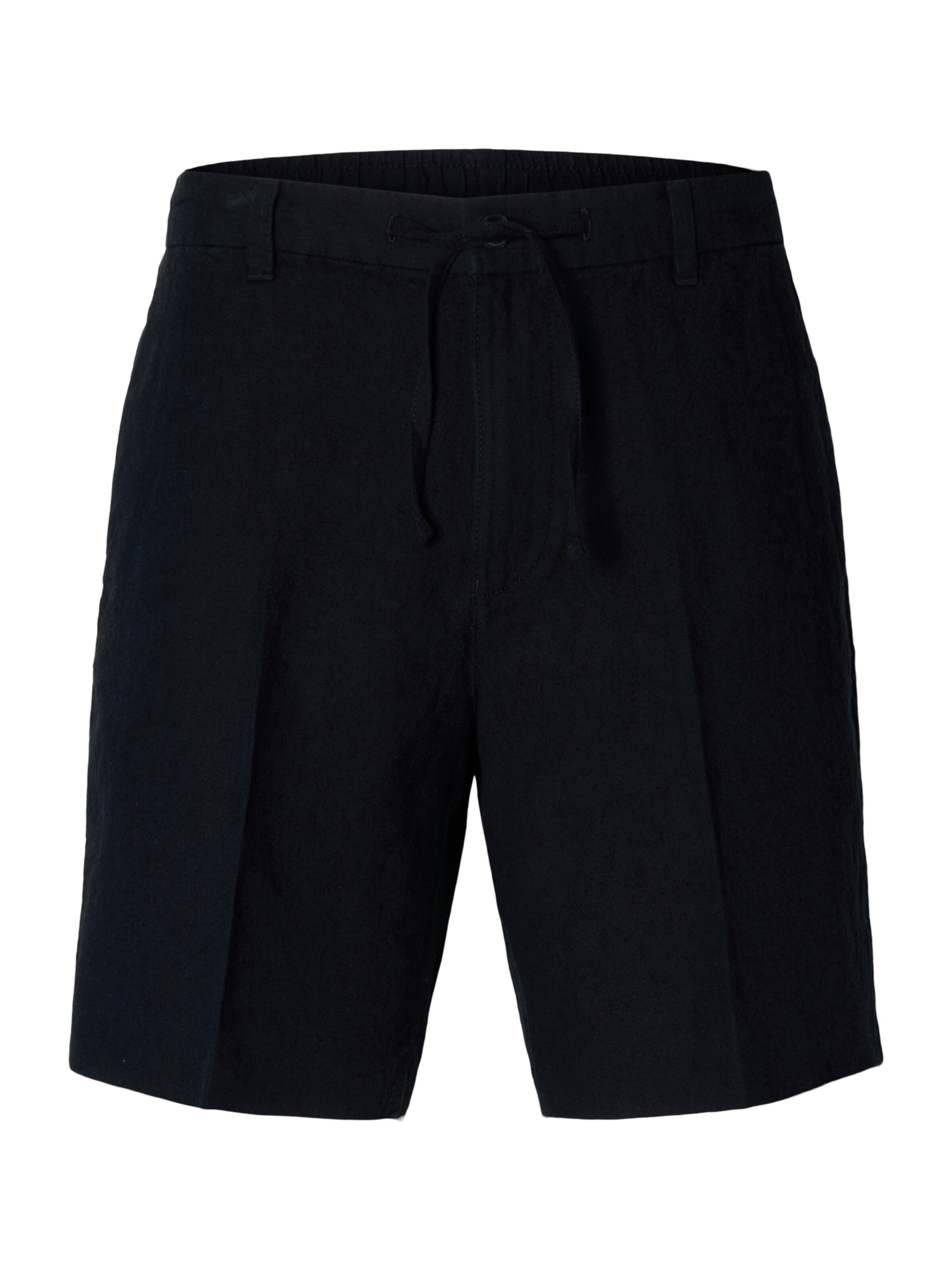 SELECTED Pleated Pants 'SLHLEROY' in Blue: front