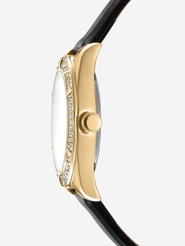 DKNY Analoguhr in Gold