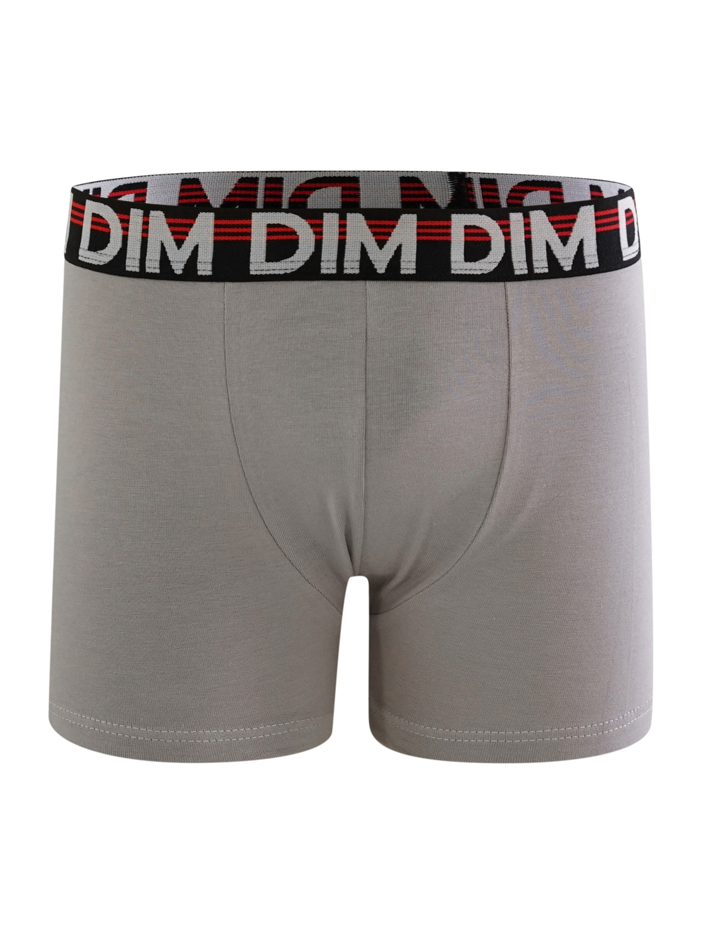 DIM Underpants in Grey