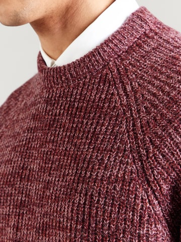 Barbour Sweter 'Horseford' w kolorze fioletowy