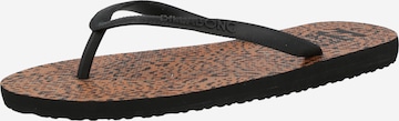 BILLABONG Beach & Pool Shoes 'Dama' in Black: front