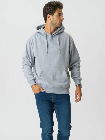 Pull-over ' Hoodie ' TEESHOPPEN en gris : devant