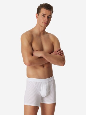 SCHIESSER Boxershorts 'Cotton Essentials Authentic'‌‌‌‌‌‌‌‌ in Weiß