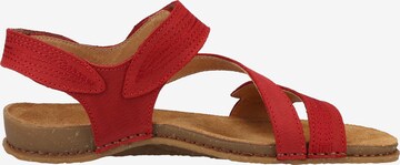 EL NATURALISTA Sandals in Red