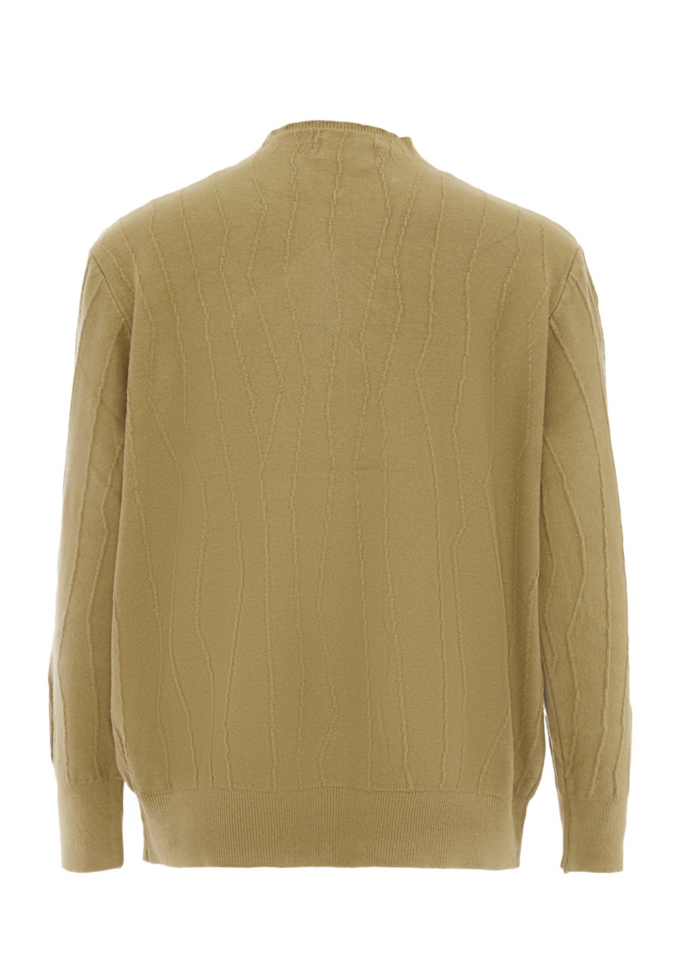 carato Trui in Beige