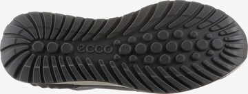 Chaussure à lacets ECCO en gris