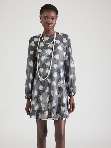 Robe 'FAVILLA' MAX&Co. en gris : devant