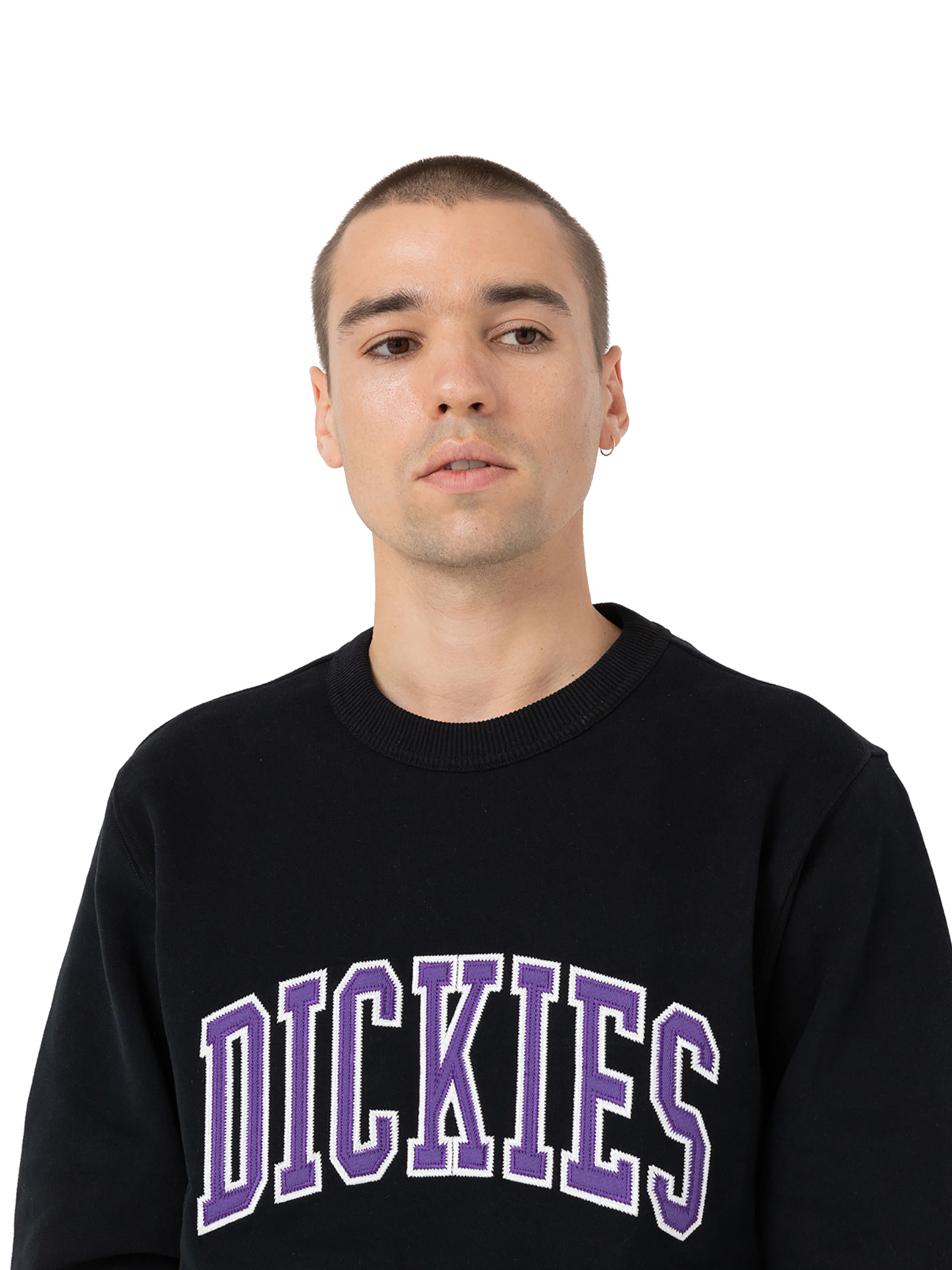 DICKIES Mikina 'AITKIN ' - Čierna